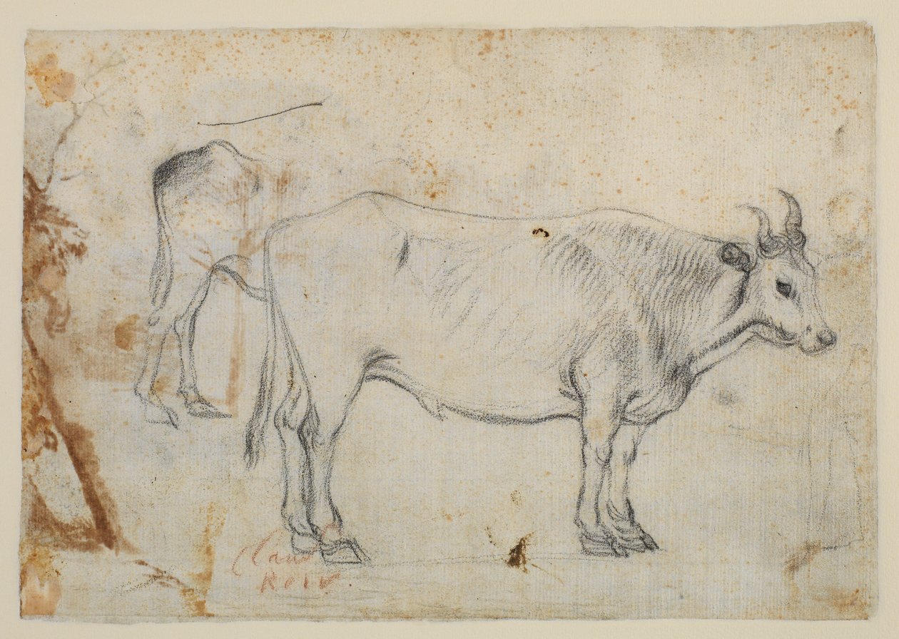 Studie vola od Claude Lorrain