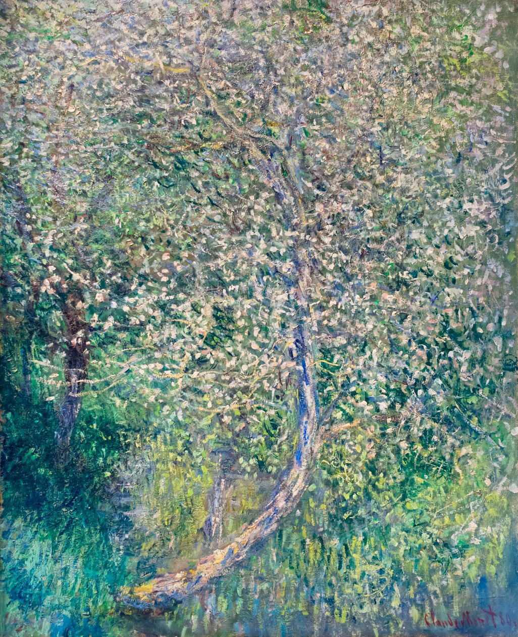 Jabloně v květu na okraji vody od Claude Monet