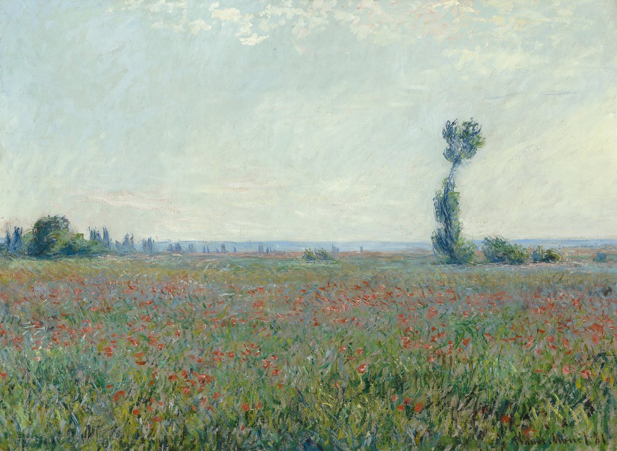 Pole máků od Claude Monet