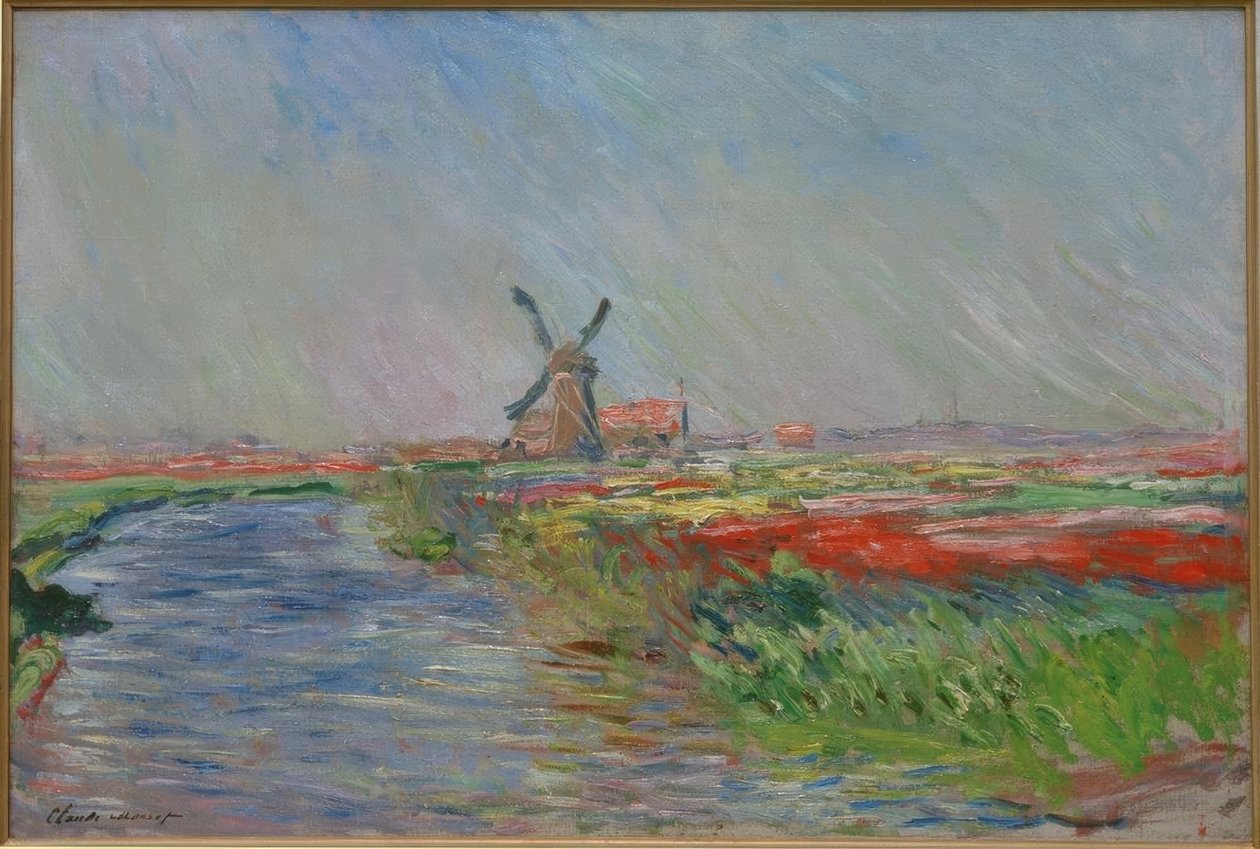 Tulipánová pole v Holandsku od Claude Monet