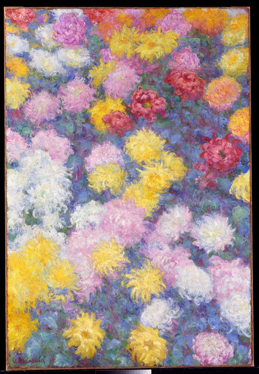 Chryzantémy, 1897 od Claude Monet