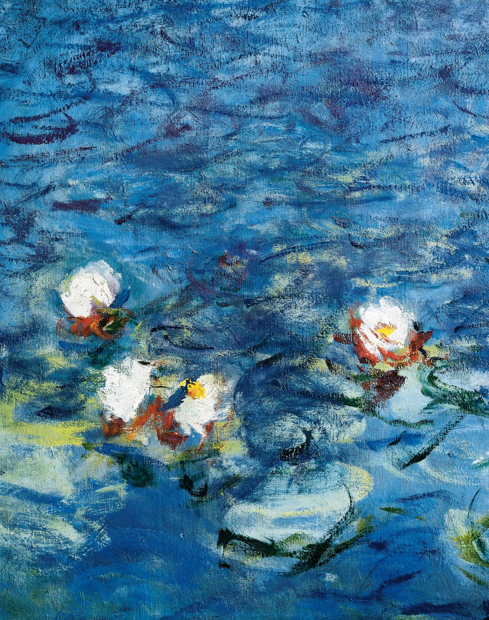 Lekníny: Ráno od Claude Monet