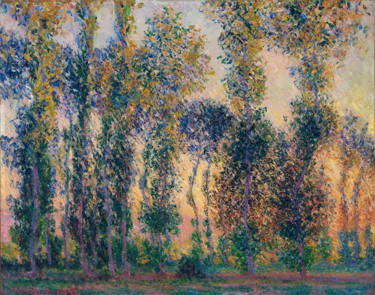 Topoly v Giverny (Francie), východ slunce. Obraz Clauda Moneta (1840-1926), olej na plátně od Claude Monet
