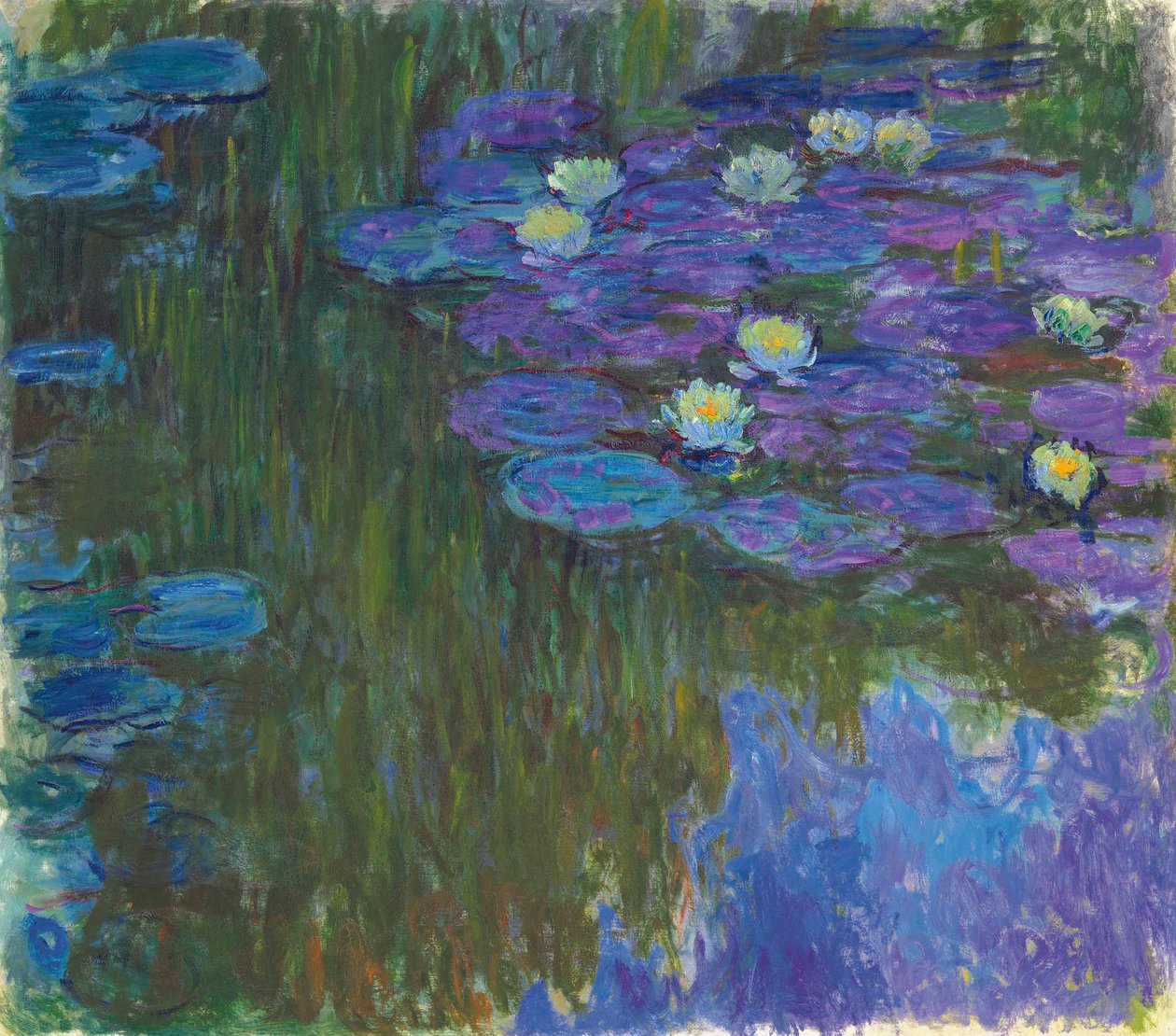 Lekníny v květu od Claude Monet