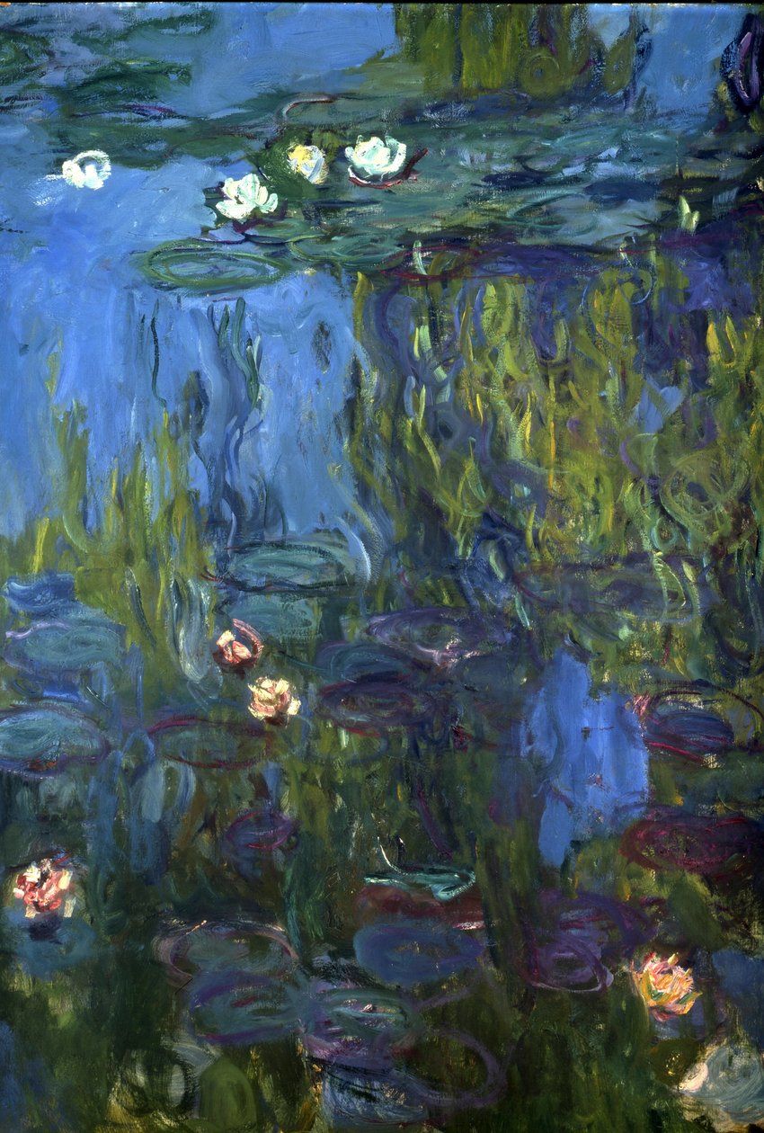 Nympheas, 1914-17 od Claude Monet