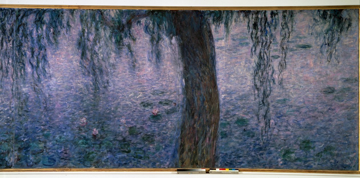 Nympheas, jasné ráno s Triptych vrbami pravá část. Obraz Clauda Moneta (1840-1926) 1914-1926 Rozm. 2 x 4,25 m. Paříž. Muzeum oranžérie od Claude Monet
