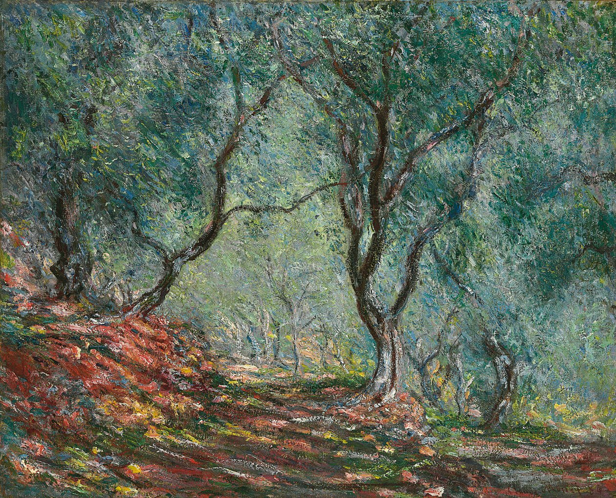 Olivovníky v zahradě Moreno, 1884 od Claude Monet