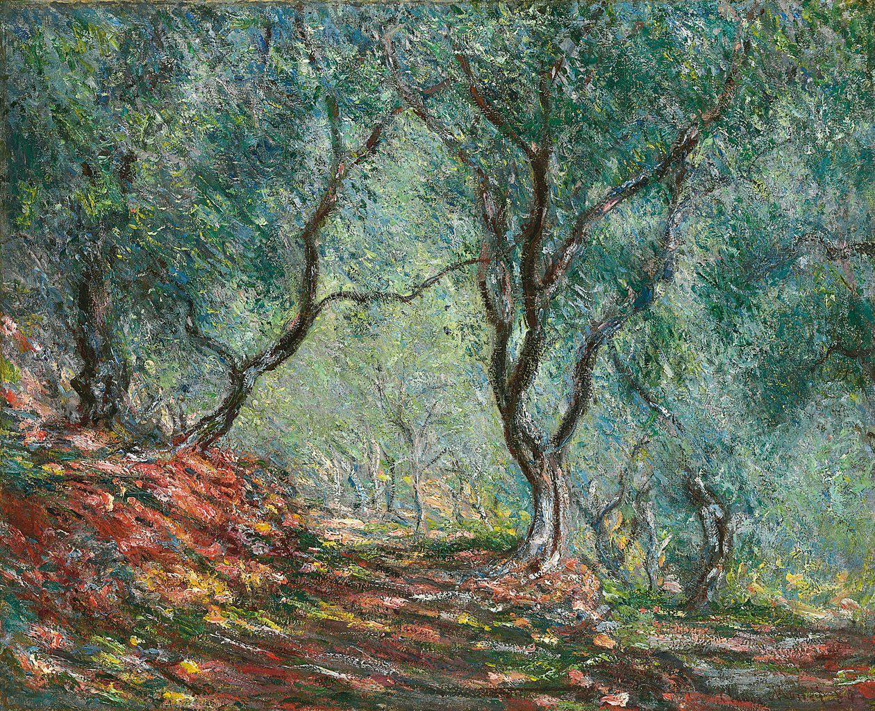 Olivovníky v zahradě Moreno; Dřevo olivovníků v zahradě Moreno, 1884 od Claude Monet