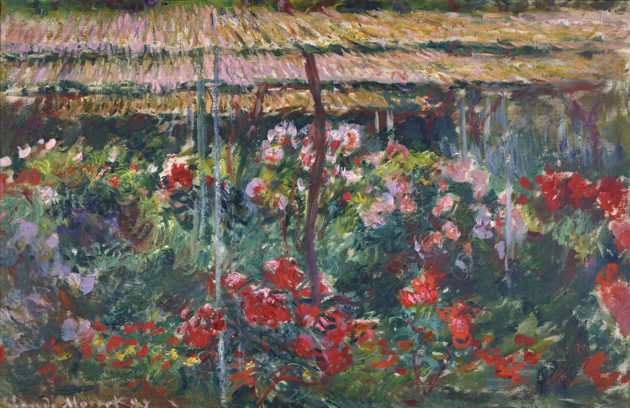 Pivoňková zahrada, 1887 od Claude Monet
