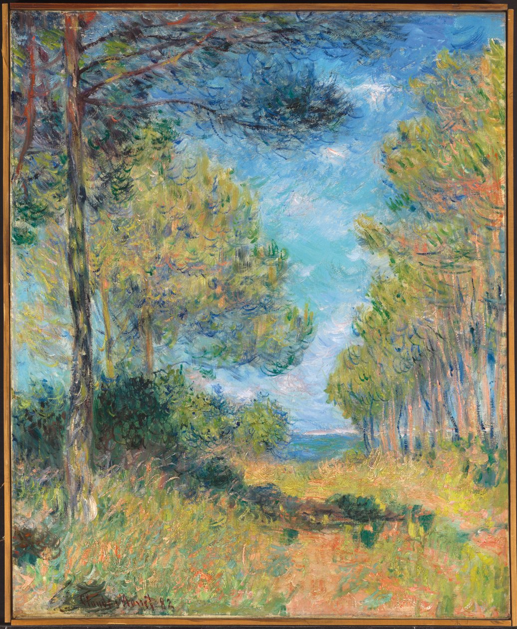 Pine Tree Path ve Varengeville; Allee de sapins Varengeville, 1882 od Claude Monet