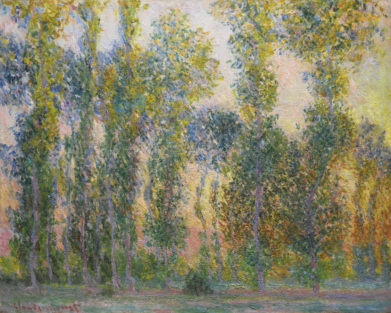 Topoly v Giverny, 1887 od Claude Monet