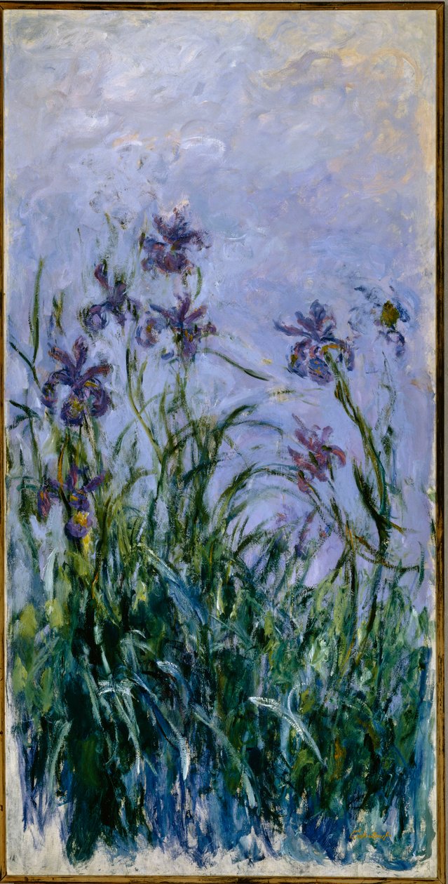 Fialové kosatce, 1914-17 od Claude Monet