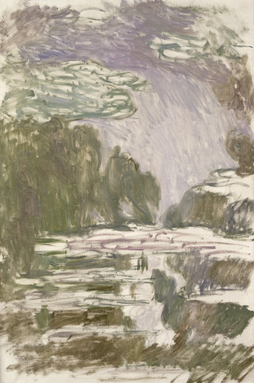 Studie pro lekníny, 1907 od Claude Monet