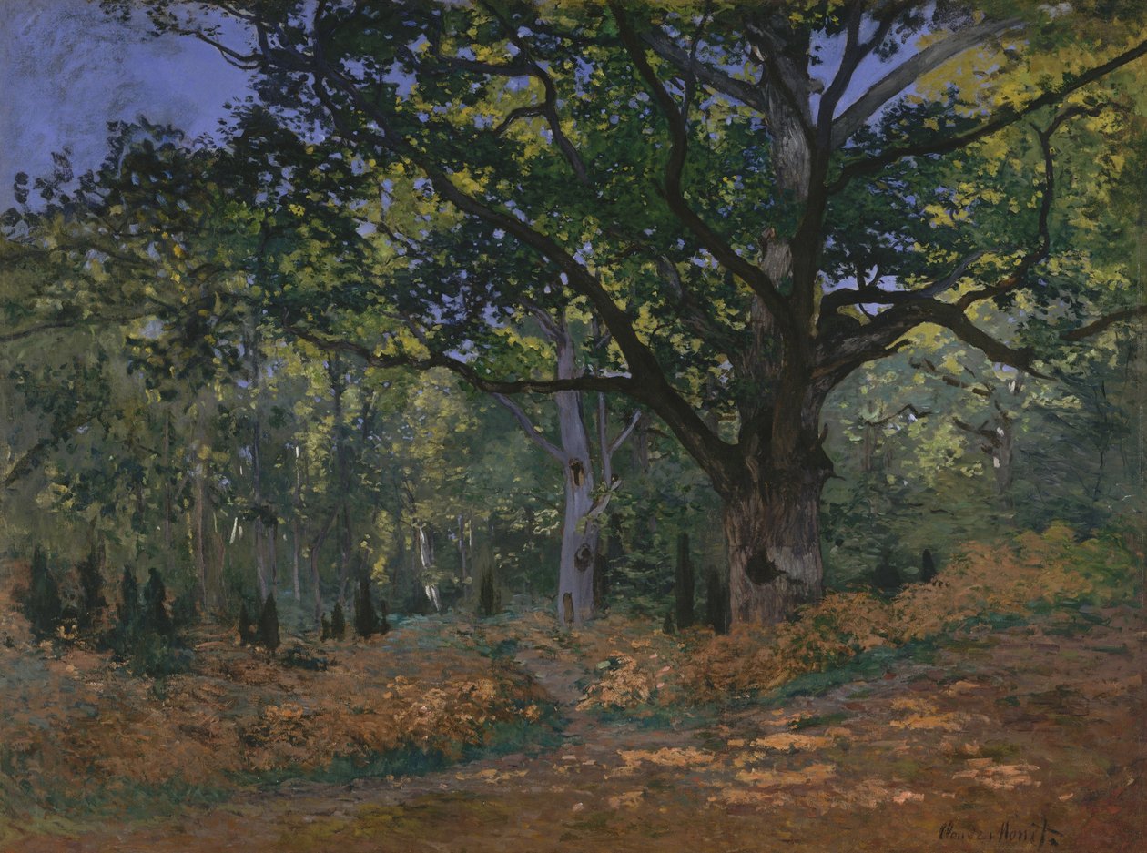 Bodmerský dub, les Fontainebleau od Claude Monet