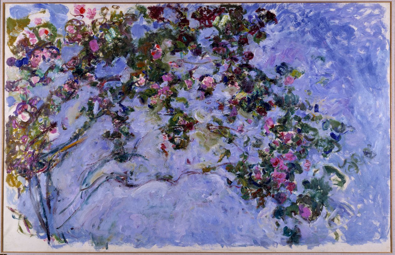 Růže od Claude Monet