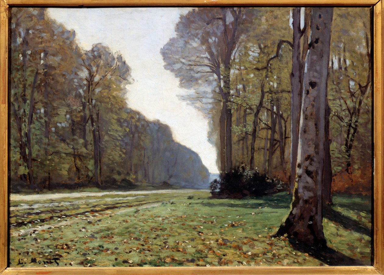 Pave of Chailly, Fontainebleau, kolem roku 1865 (olej na plátně) od Claude Monet
