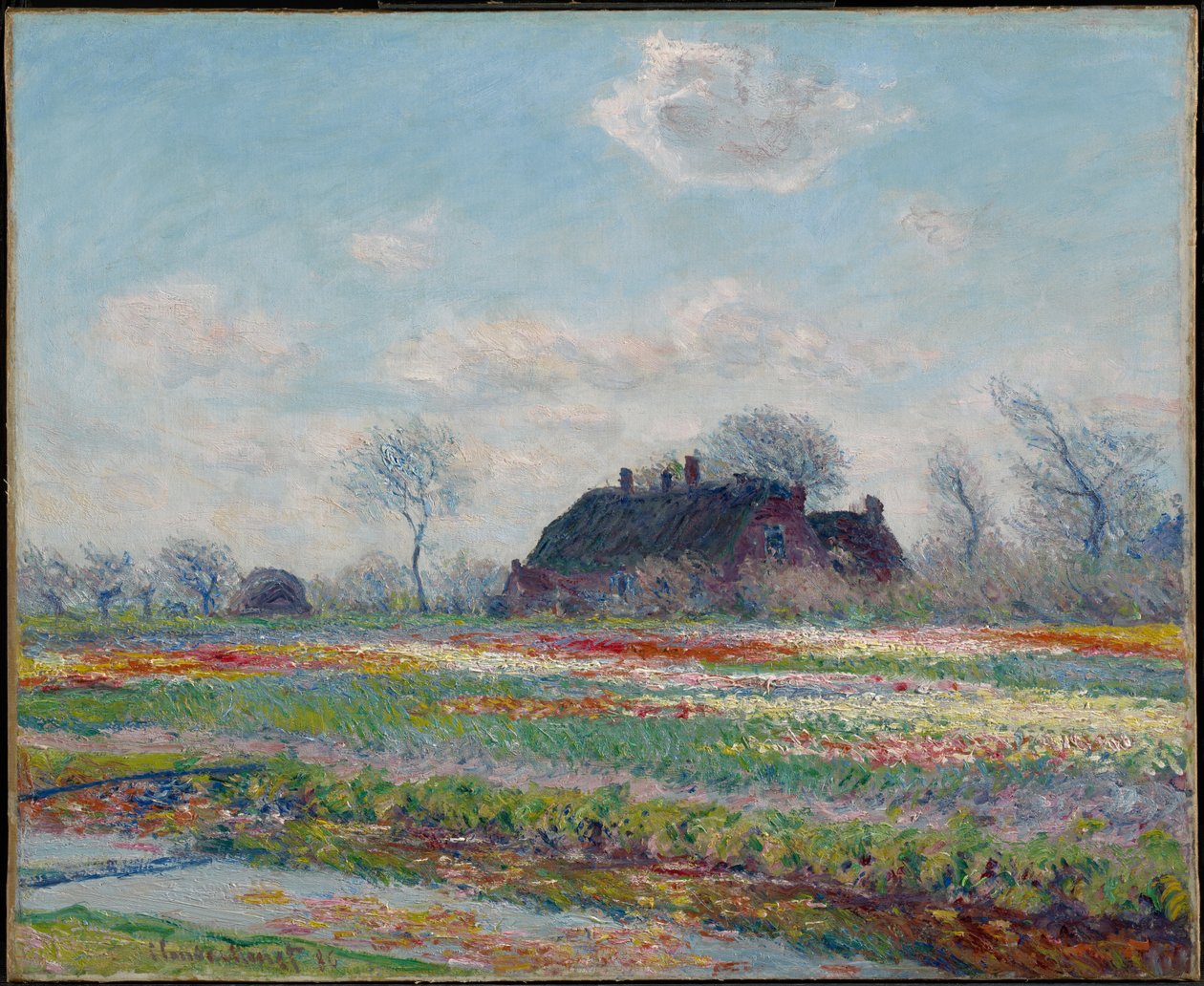 Tulipánová pole u Sassenheimu od Claude Monet