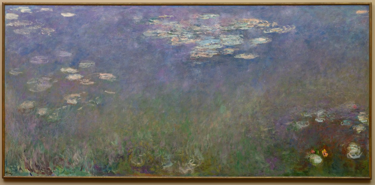 Lekníny (Agapanthus), asi 1915-26 (olej na plátně) od Claude Monet