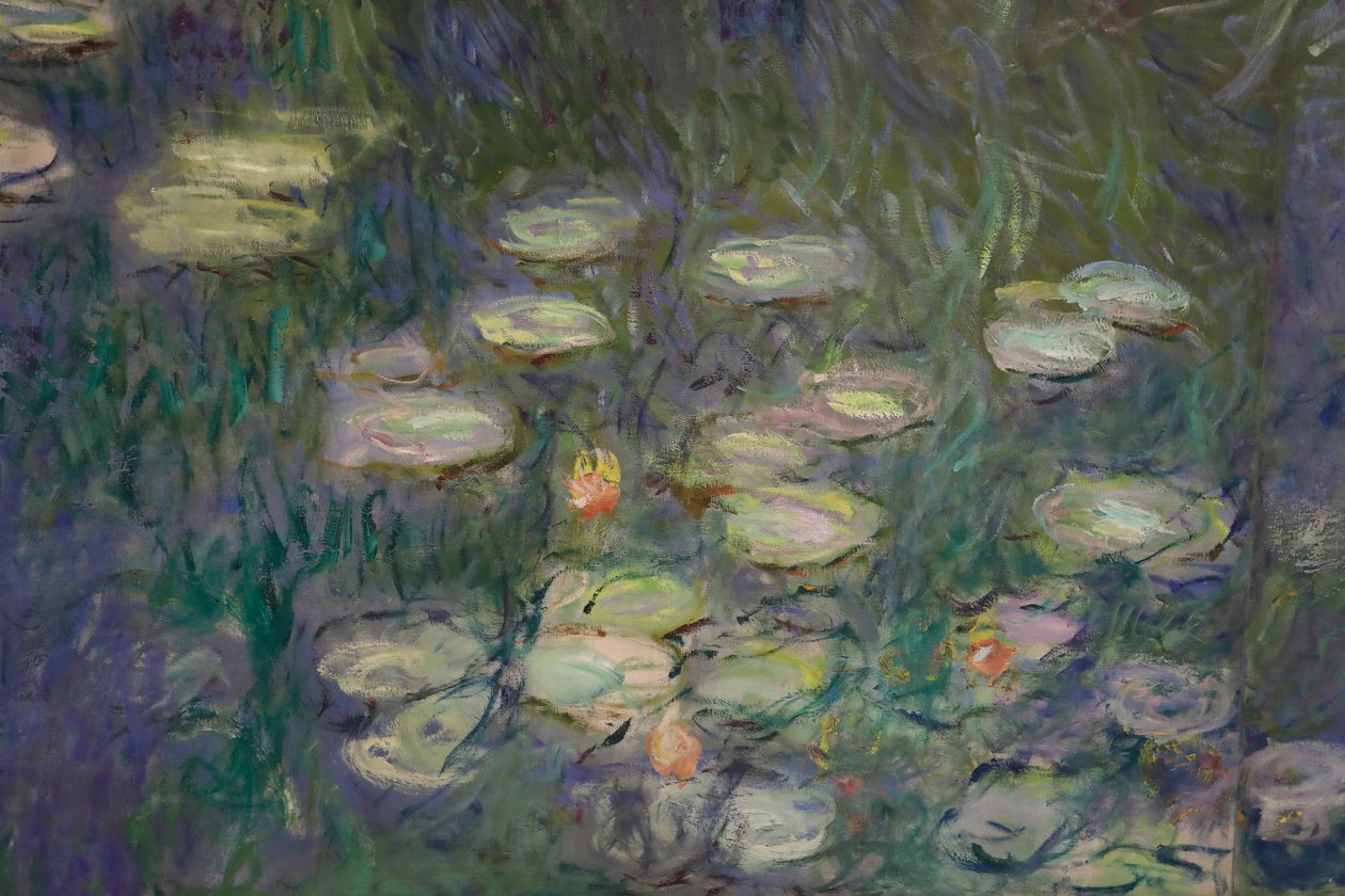 Lekníny (olej na plátně) od Claude Monet