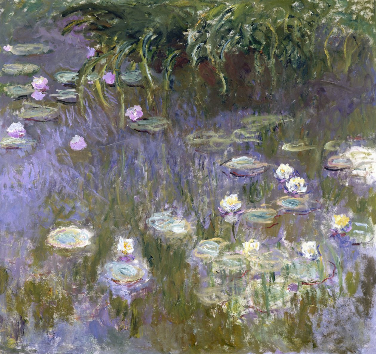 Vodní lilie od Claude Monet