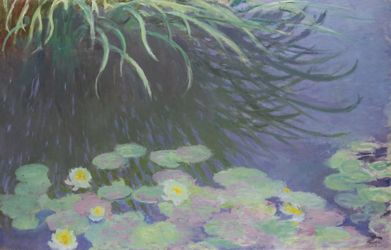 Lekníny s odrazy vysoké trávy, 1914-1917 od Claude Monet