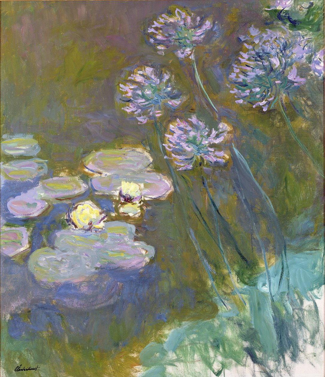 Lekníny a Agapanthus od Claude Monet