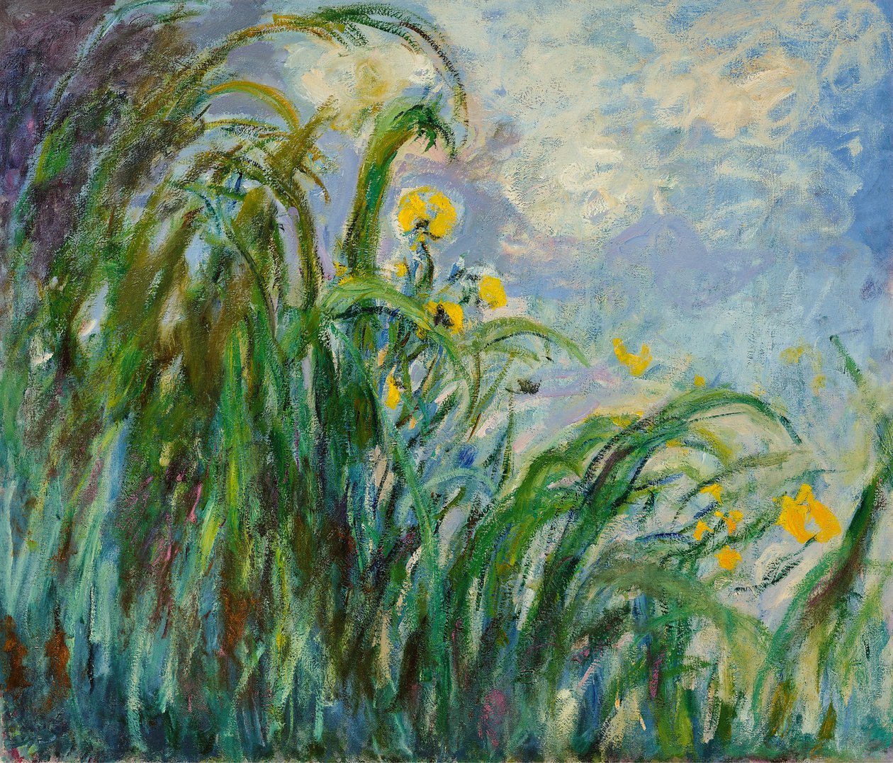 Žluté kosatce, c. 1925. od Claude Monet