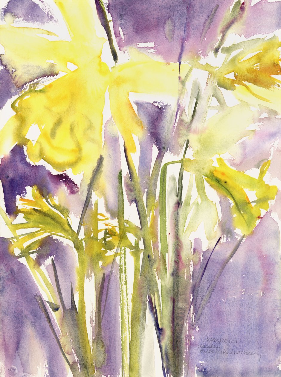 Narcisy, 2004 (akvarel) od Claudia Hutchins Puechavy