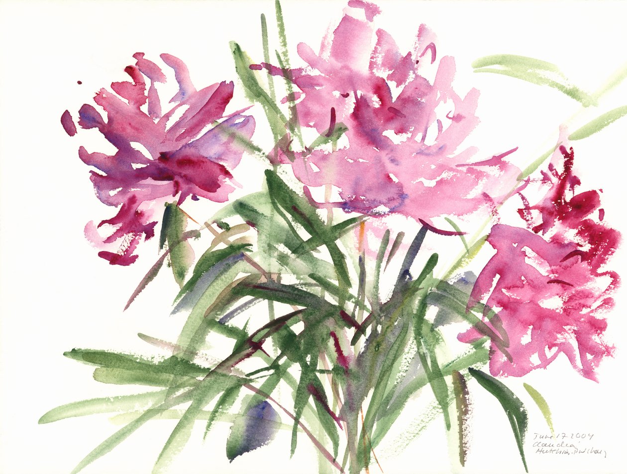 Pivoňky, 2004 (akvarel) od Claudia Hutchins Puechavy