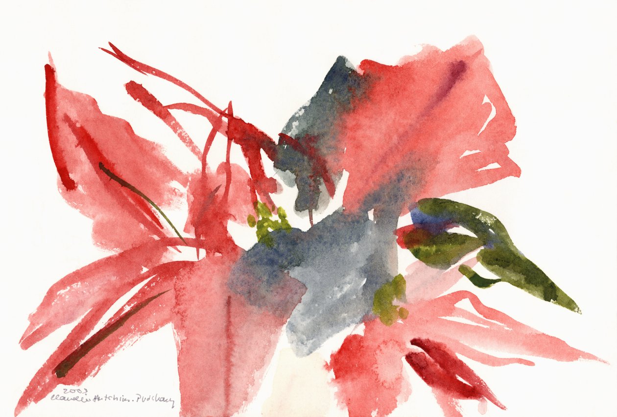 Vánoční hvězda, 2003 od Claudia Hutchins Puechavy