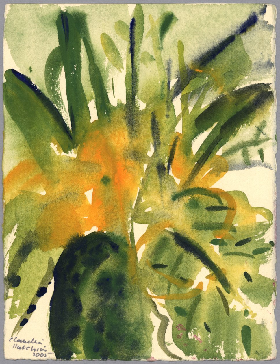 Primroses, 2005 (akvarel) od Claudia Hutchins Puechavy