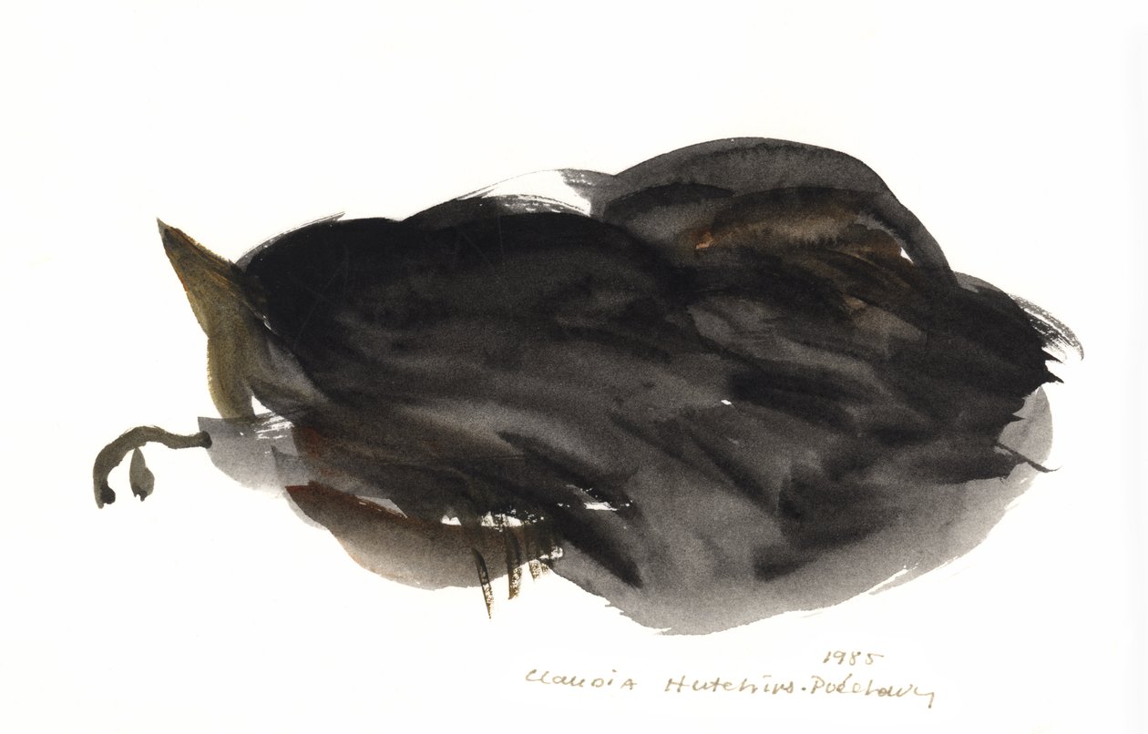 Spící kočka, 1985 (akvarel) od Claudia Hutchins Puechavy
