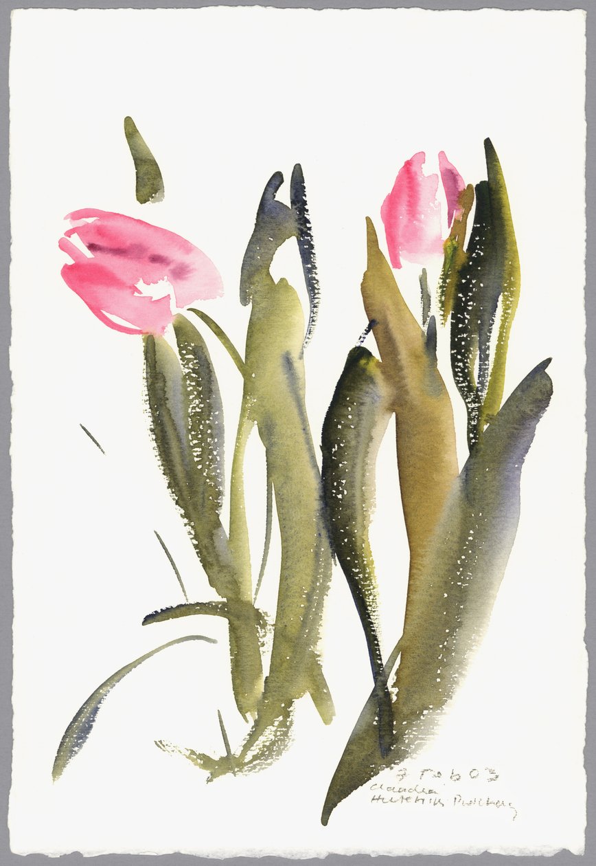 Tulipány, 2003 (akvarel) od Claudia Hutchins Puechavy