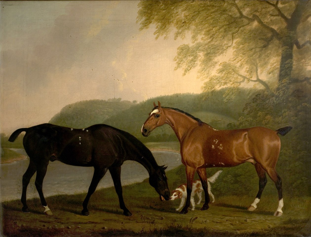 Koně a pes v krajině, c.1830 od Clifton Tomson