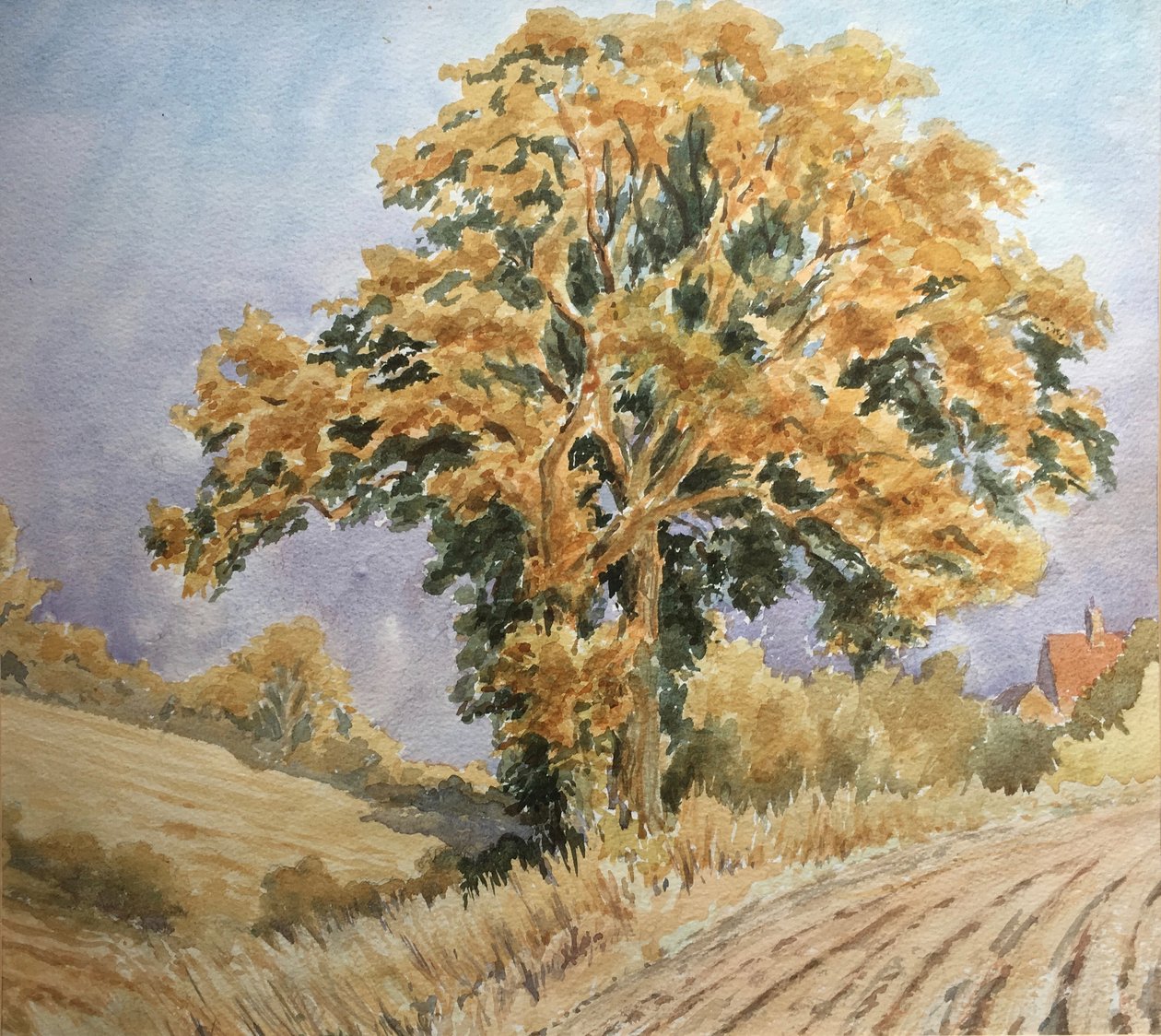 Západ slunce při sklizni, North Denford od Clive Wilson