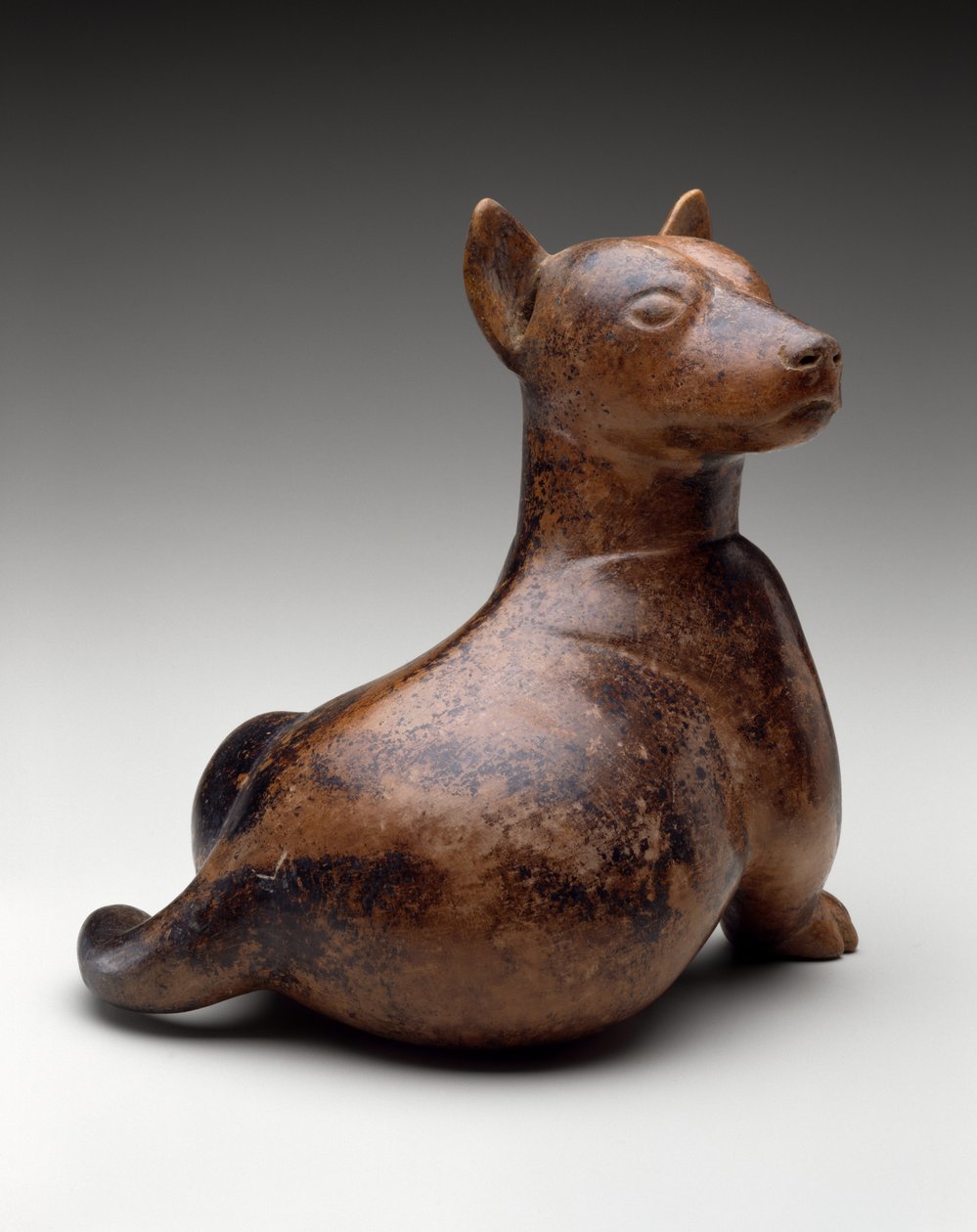 Polosedící pes, Mexiko, Proto-Classic, 100 př. n. l. - 300 n. l. (kamenina) od Colima Culture