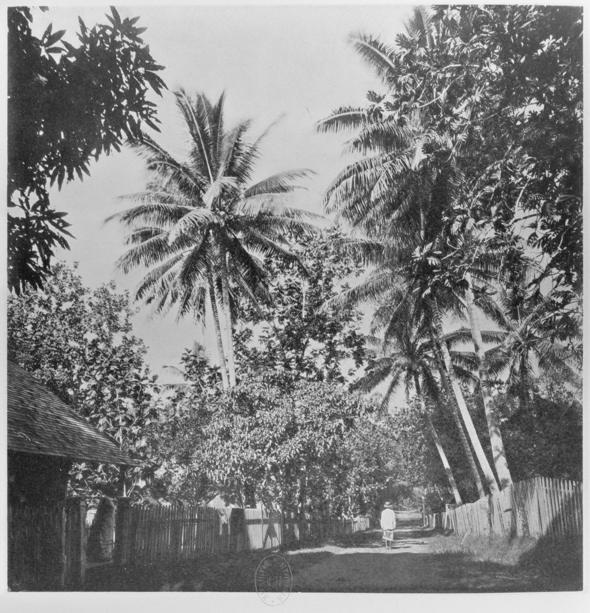 Ulice v Papeete, z ‚Tahiti‘, vydané v Londýně, 1882 od Colonel Stuart Wortley