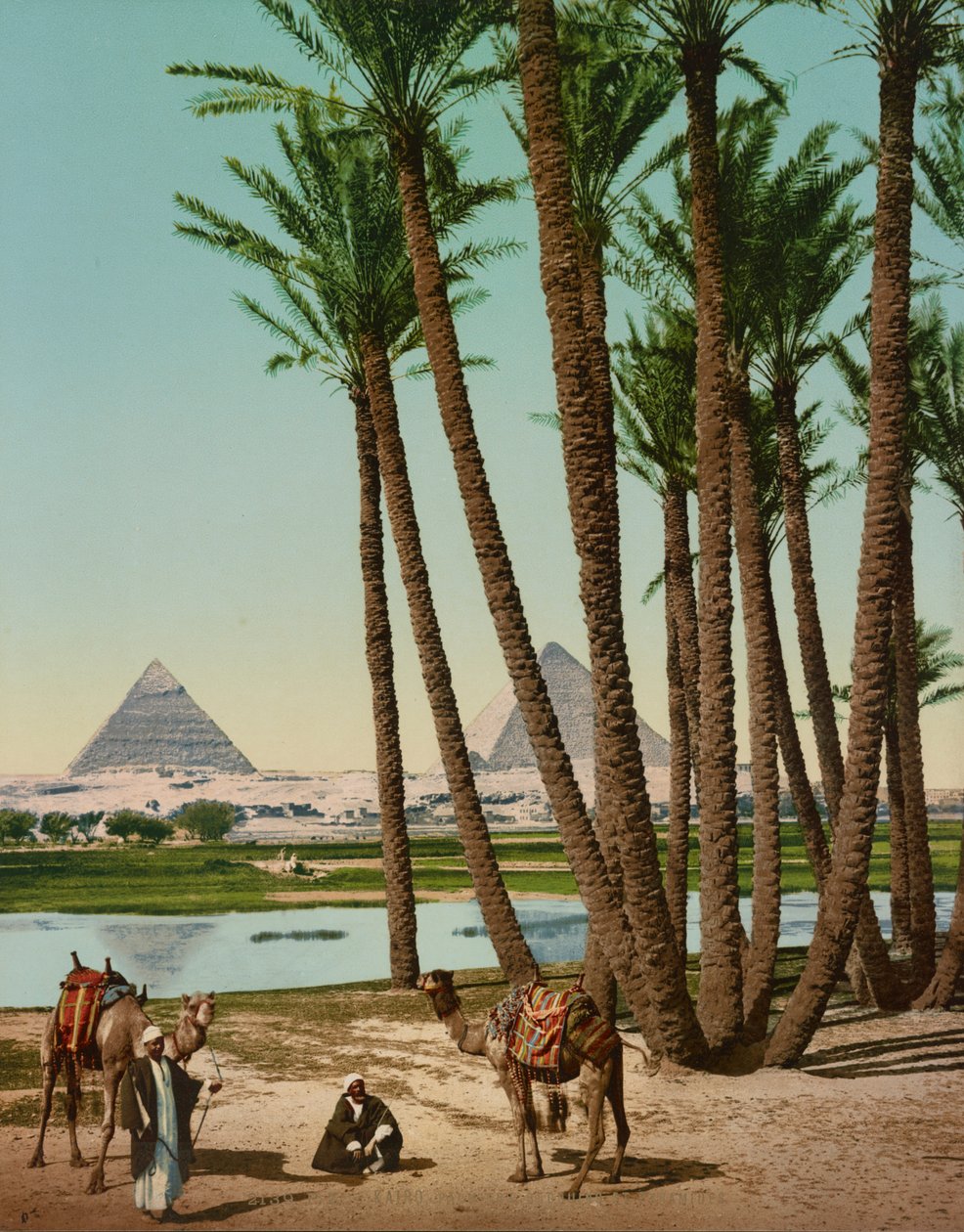 Palmy, beduíni a pyramidy, Káhira, Egypt od Company Photoglob