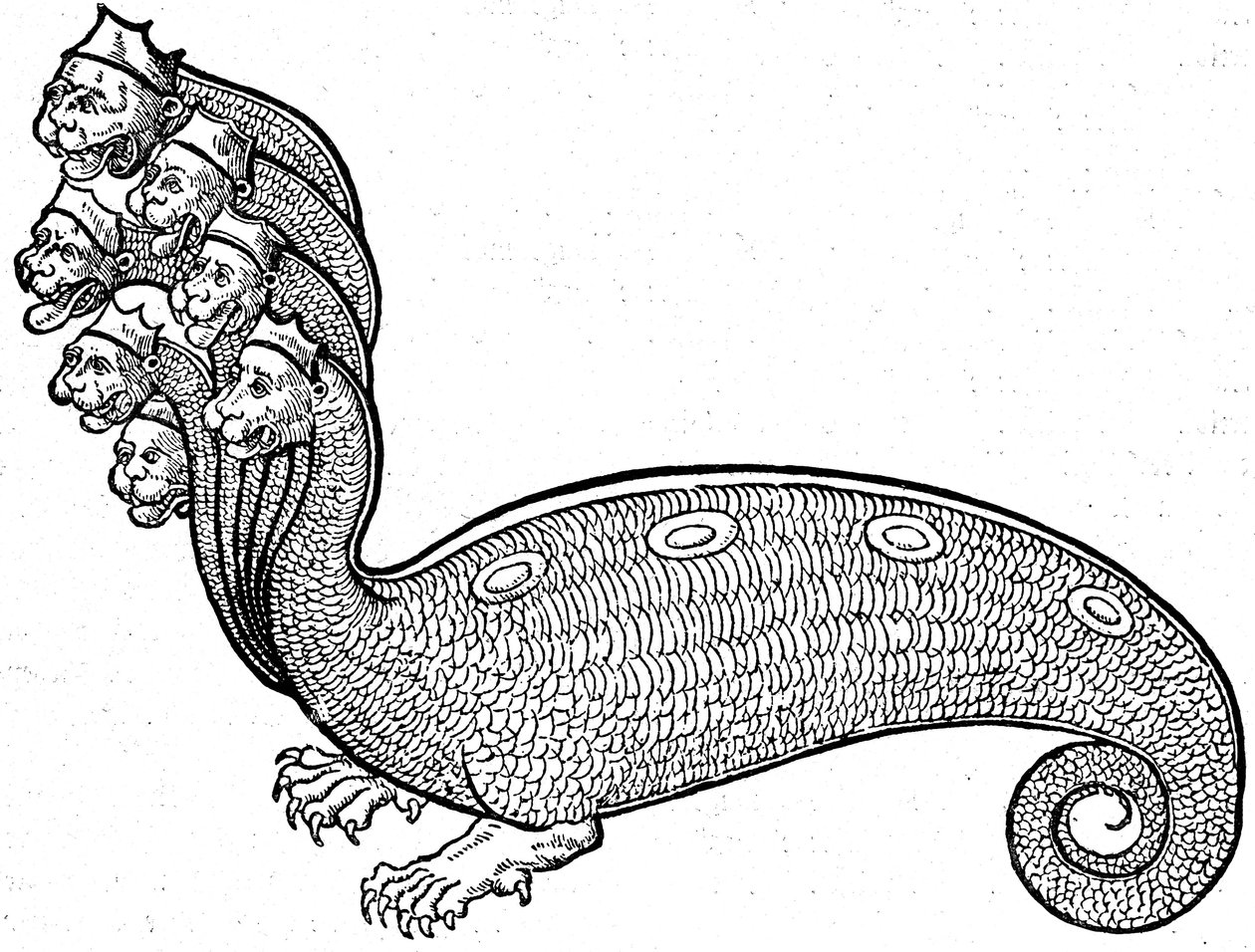 Monster Hydra od Conrad (after) Gesner