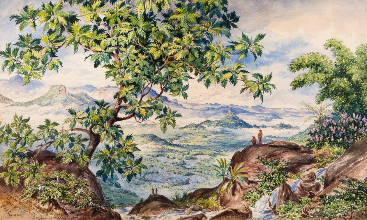 Studie ovocného stromu Bread, Allegalla Peak od Constance Frederica Gordon Cumming