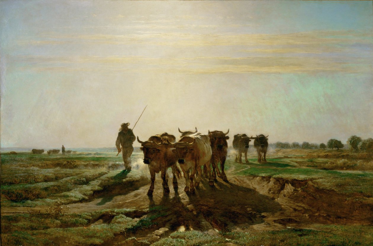 Boeufs se rendant au travail - dobytek jdoucí ráno do práce. 1855 ... od Constant Emile Troyon