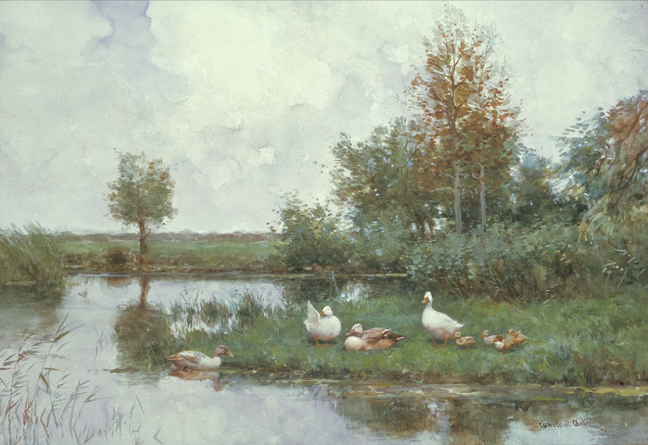 Kachny v říční krajině (olej na plátně) od Constant Artz