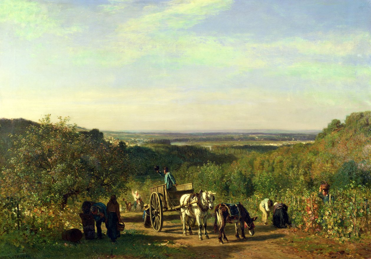 Pohled z Hilltops of Suresnes aneb Sklizeň hroznů v Suresnes od Constant Emile Troyon