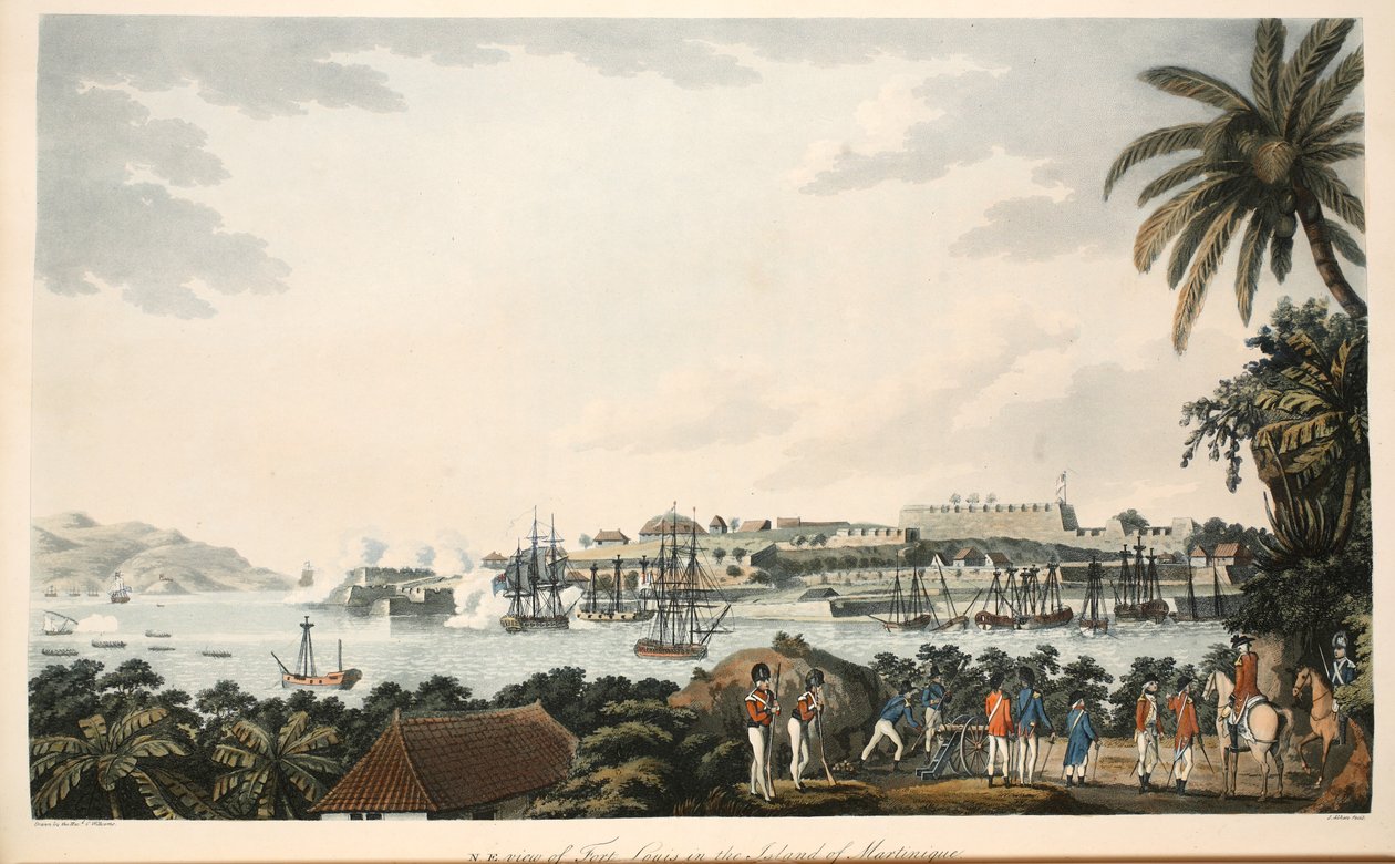 N.E. pohled na Fort Louis na ostrově Martinik, ilustrace z 