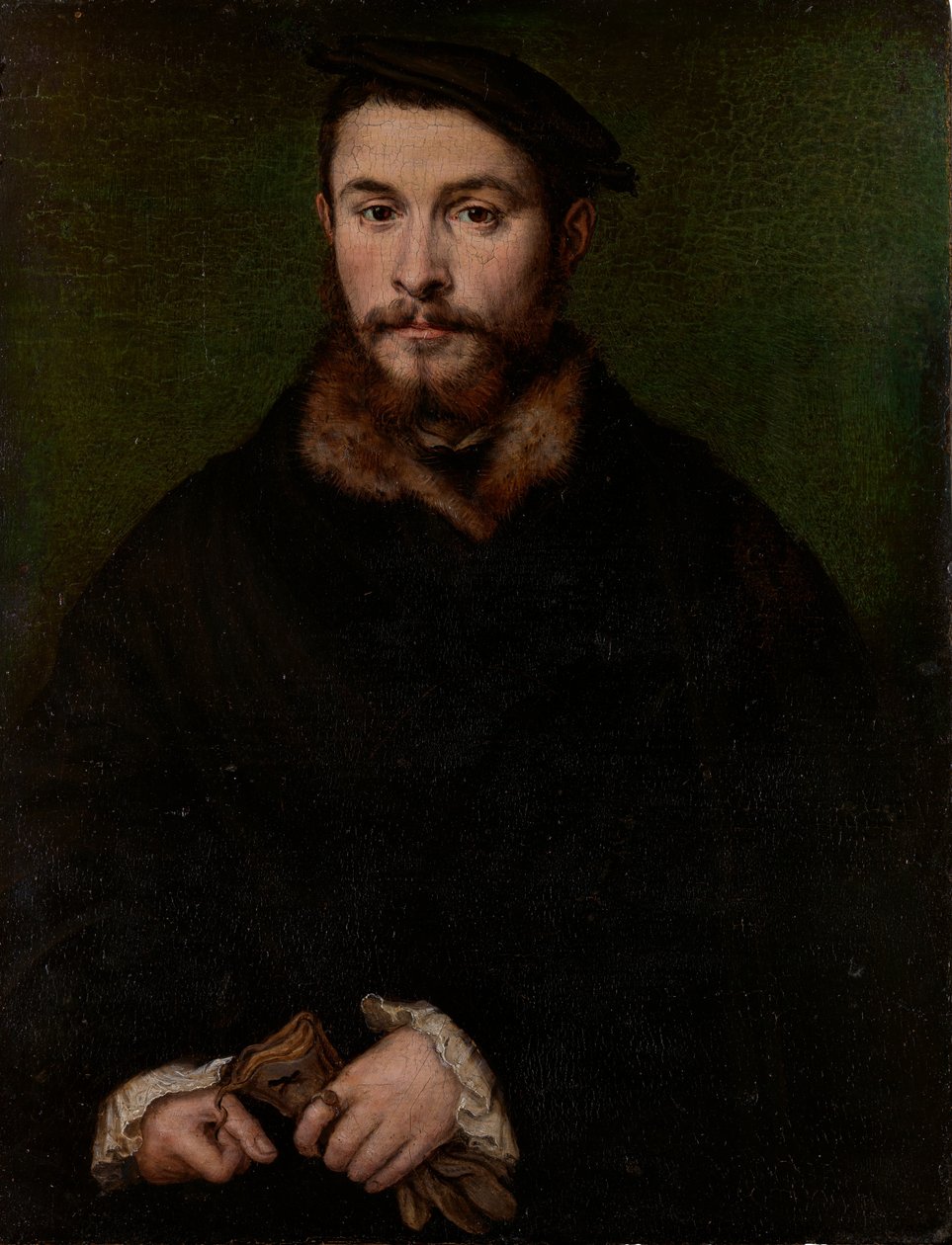 Portrét muže s rukavicemi, ca. 1535. od Corneille de Lyon
