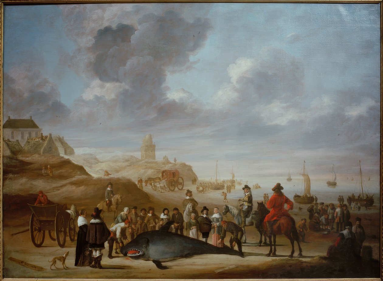 Velryba na pláži Scheveningen od Cornelis Beelt