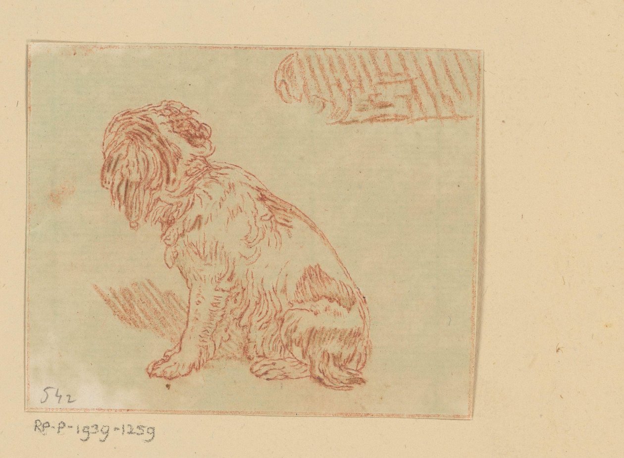 sedícího psa od Cornelis Brouwer (possibly)