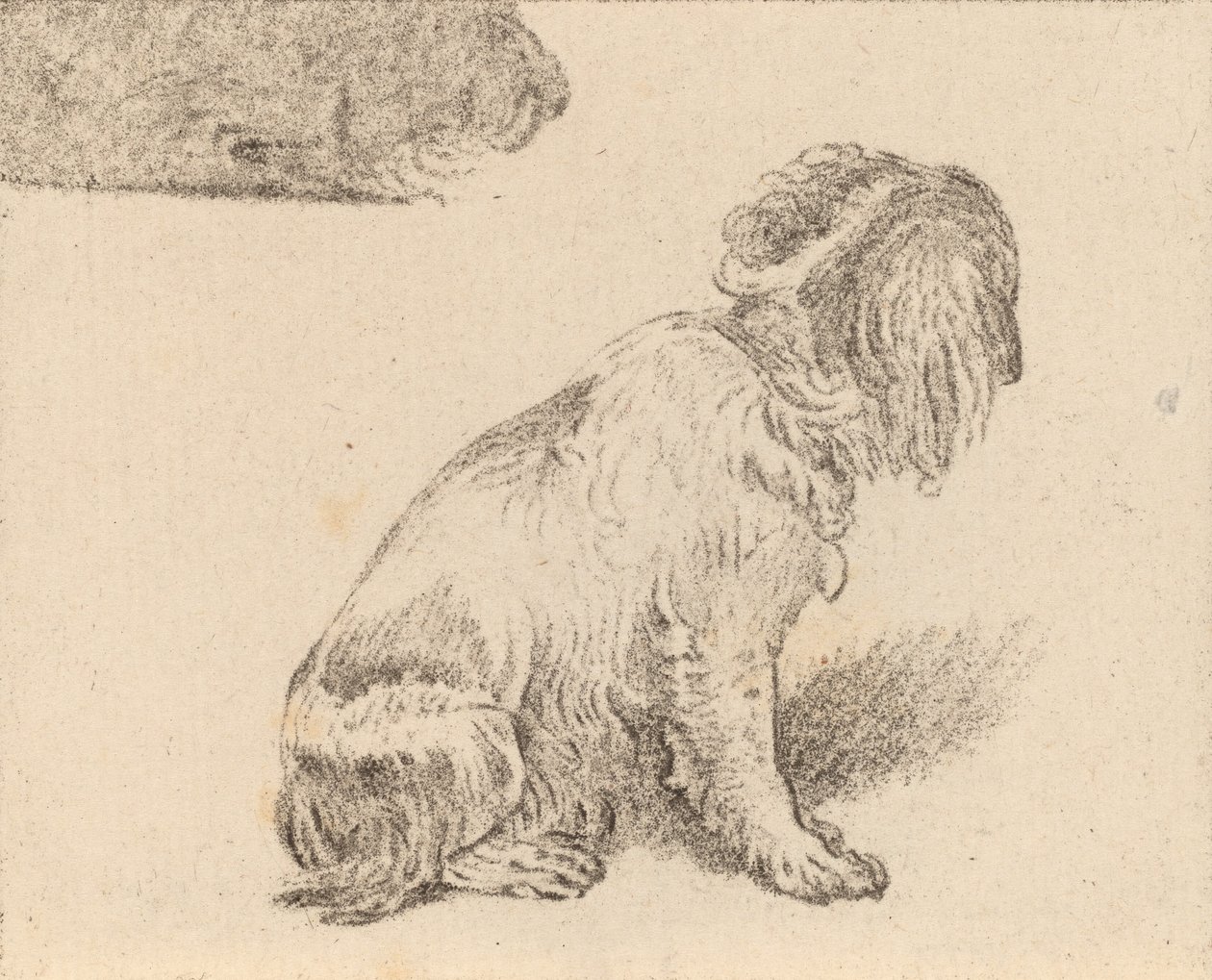 Sedící pes, 1777. od Cornelis Brouwer