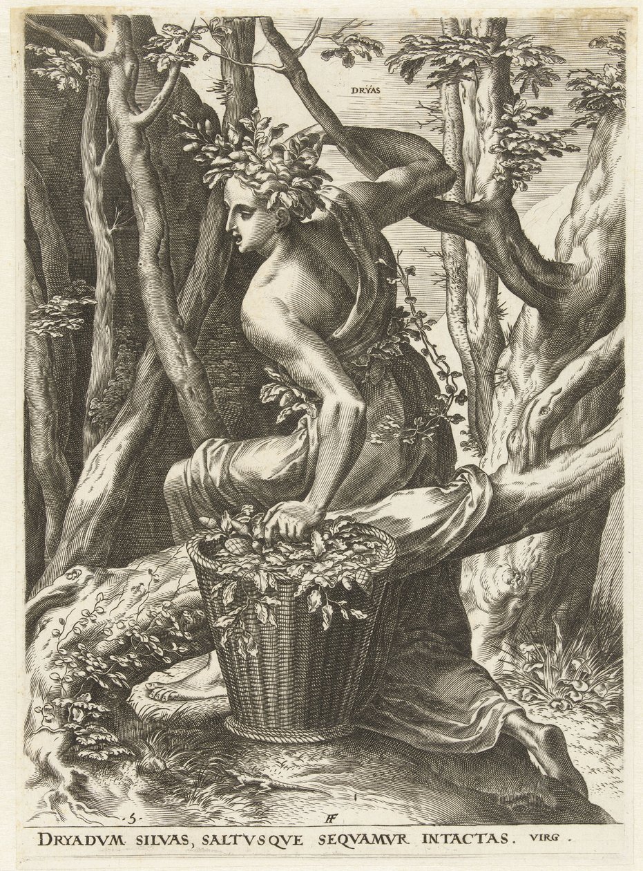 Dryas (název na objektu) Bohyně a nymfy (název série) od Cornelis Cort