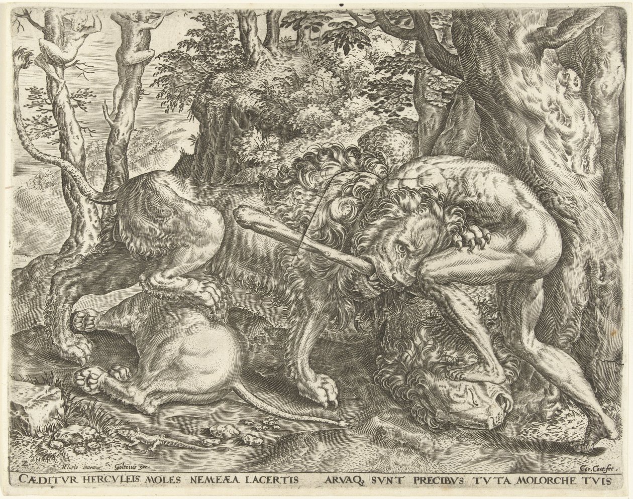 Herkules uškrtí nemejského lva Labors of Hercules (název série) od Cornelis Cort